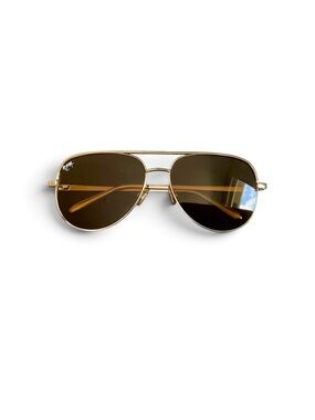 Gold Aviator Sunglasses with Brown Lenses NWT